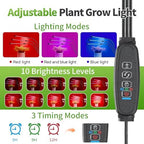 Mini Greenhouse with LED Grow Light & Timer, 36"x20"x33" - Image 2