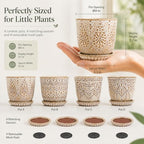 Gepege Ceramic Succulent Pots, 4 Inch Small Plant Pots with Drainage - Image 2