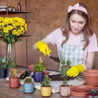 12 Pack Small Ceramic Succulent Pots with Drainage Hole - Image 5