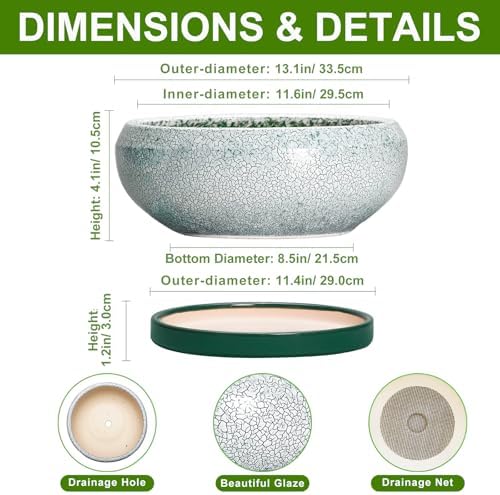 Bonsai Pots 13 Inch - Shallow Ceramic Planter with Drainage Hole and Saucer, Round Succulent Pots for Indoor Outdoor, Large Succulent Planter, Apartment Decor, Gardening Gifts, Green - Image 2