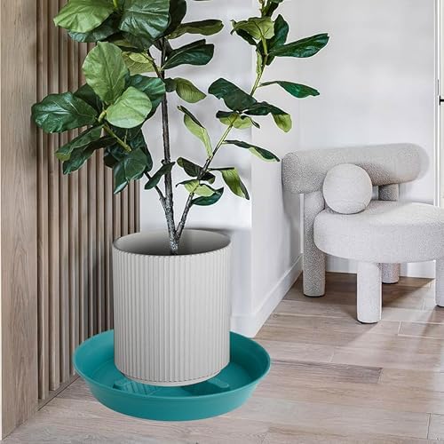 4 Pack Plant Saucer 12 inch, 8 10 14 17 inch, Plant Stand Plastic Plant Saucers for Indoors Outdoor, Heavy Duty Flower Saucers for Potted Plants, Pot Saucers for Plants, Grow Bags Saucers - Image 6