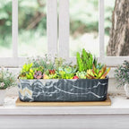 Succulent Pots, Large Shallow Rectangle Planters with Drainage Tray - Image 6
