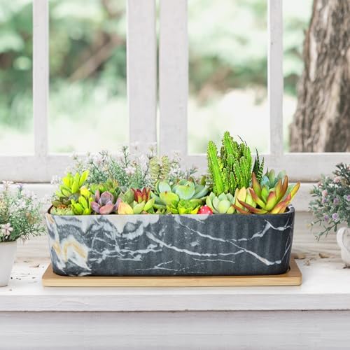Succulent Pots, Large Shallow Rectangle Planters with Drainage Tray - Image 6