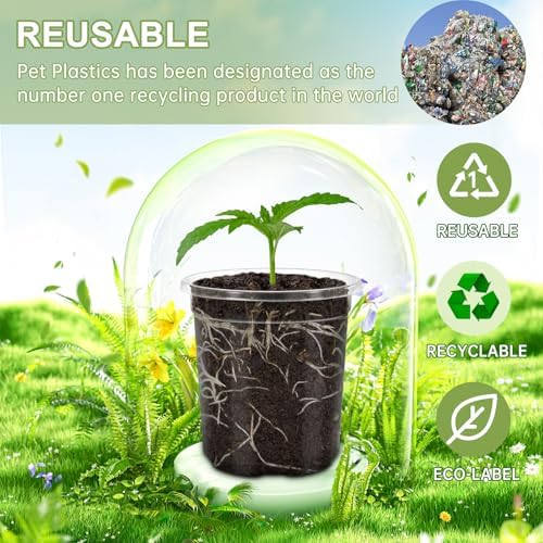 36 Pcs 6/5/4/3.5 In Clear Nursery Plant Pots with Drainage Holes, 20 Labels - Image 6