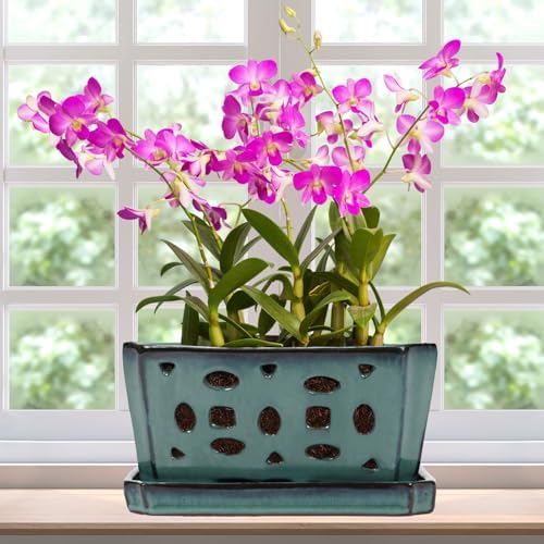 Teenyyou 9.5" Orchid Pot Ceramic with Hole Saucer for Repotting, Green by Teenyyou