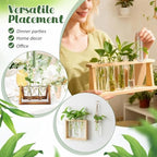 4pcs Plant Propagation Tubes Glass Test Tube Vase Replacement Clear Hydroponic Flower Vase for Home Office Wall Decor Desktop Decorations (Without Stand) (11.00X3.50X2.80CM) - Image 2
