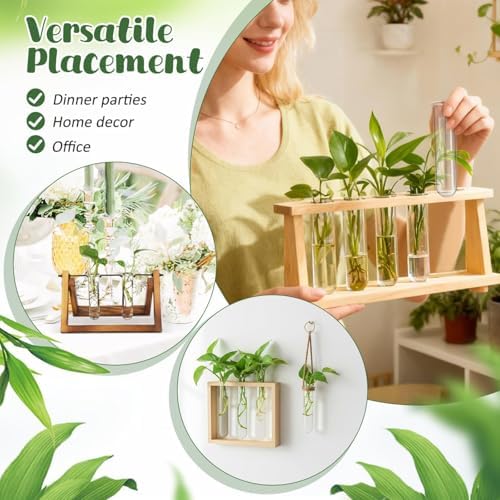 4pcs Plant Propagation Tubes Glass Test Tube Vase Replacement Clear Hydroponic Flower Vase for Home Office Wall Decor Desktop Decorations (Without Stand) (11.00X3.50X2.80CM) - Image 2