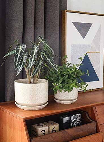 LE TAUCI Ceramic Pots for Plants, 4.3+5.3+6.8 Inch, Set of 3, Glazed Beige - Image 2