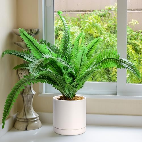 D'vine Dev Set of 2 Plants Pots, 8.2 Inch Ceramic Planter Pot for Plants with Drainage Hole and Saucer, Oatmeal, 94-V-D-8 - Image 5