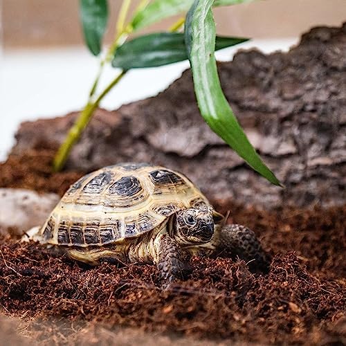 Gardenera Terrarium Bedding - Premium Coco Coir, Charcoal, Pumice, and Vermiculite Blend for Thriving Plant Growth - 10 QUARTS - Image 2