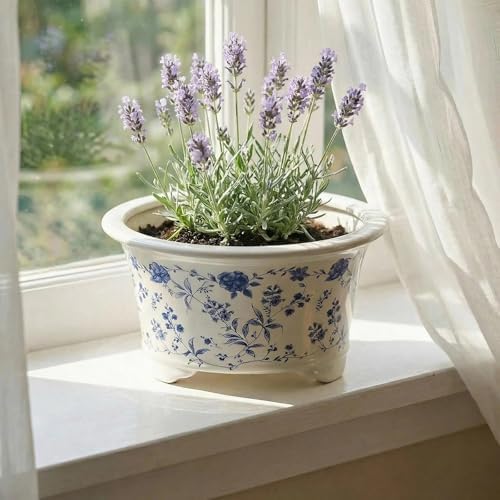 6.69" Glazed Bonsai Pots, with Drainage, Indoor-Outdoor Decor - Image 6