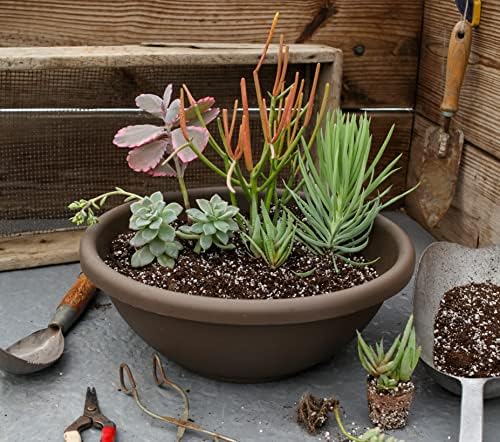 The HC Companies 20 Inch Large Garden Bowl Planter - Shallow Plant Pot with Drainage Plug for Indoor Outdoor Flowers, Herbs, Slate Blue (Pack of 5) - Image 4