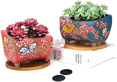 5.5 inch Hand Painted Succulent Cactus Plant Pot Clay Flower Planter Pot with Drainage Hole and Bamboo Trays Pack of 2 (Butterfly in Flowers Green and Red) by SUMMERIMPRESSIONS