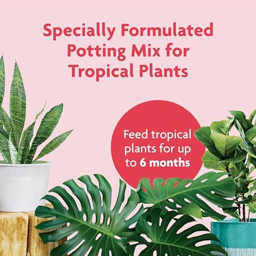 Miracle-Gro Tropical Potting Mix, For Container Plants, Use with Snake Plants, Spider Plants, Pothos, Monstera, 6 qt., 3-Pack - Image 2