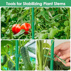 3 Pack Tomato Cage for Garden, Upgraded Fiberglass Garden Trellis with 3 PCS Grow Bags, Square Tomato Planter Support Garden Cages for Cucumber Vegetables Vertical Climbing Plants - Image 6