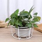 4 Pack Hanging Planters for Railings Rail Planter Hanging Baskets Flower Pot Holders Iron Plant Racks Metal Fence Planter Potted Stand Mounted Balcony Plant Baskets Container,Garden Steel Pots - Image 6