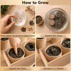 Bonsai Tree Kit - Bonsai Starter Kit with 5 Unique Japanese Bonsai Seeds - Image 4