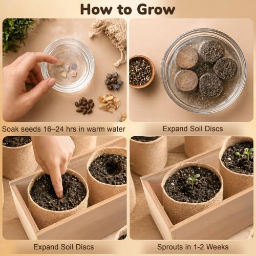 Bonsai Tree Kit - Bonsai Starter Kit with 5 Unique Japanese Bonsai Seeds - Image 4