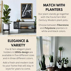 Fox & Fern Mid Century Plant Stands for Indoor Planters, Bamboo, 11.8 Inch - Image 5
