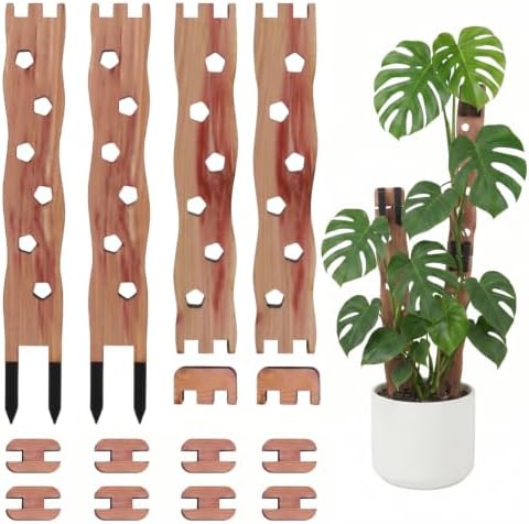 Wooden Extendable Plant Trellis for Potted Plants Indoor, 2 Sets by RAWILL
