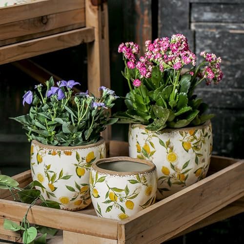 Plant Pots Spring Lemons Pattern Planter Succulent Pots 4" D - 7.3" D Large Planter Pots with Drainage Hole, Decorative Garden Pots Round Ceramic Pots Outdoor Plant Pots Spring Decor - Image 4