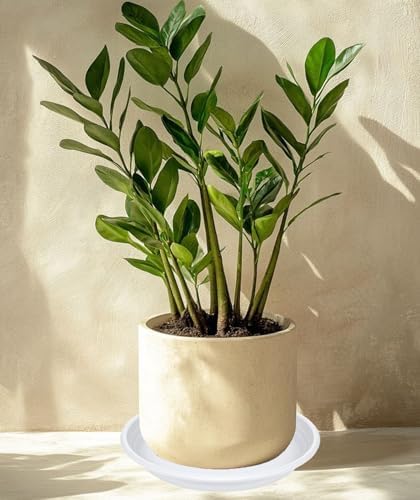 2 Pack of 16 inch Plant Saucer, Large Plant Tray, Heavy Sturdy Plant Drainage Tray for Indoors, Bird Bath Bowls, Sturdy Plastic Pot Tray for Planter (White) - Image 5