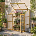 LAZZO Wooden Cold Frame Greenhouses for Outdoors, 2-Tier Garden Cabinet by LAZZO