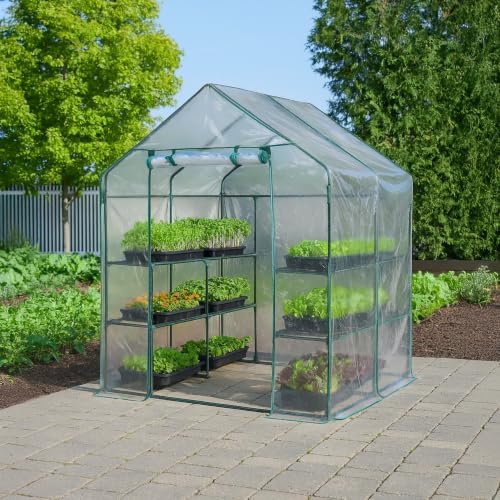 Miracle-Gro Walk-in Greenhouse, Removable Shelves, Clear, 4'8" Square - Image 2