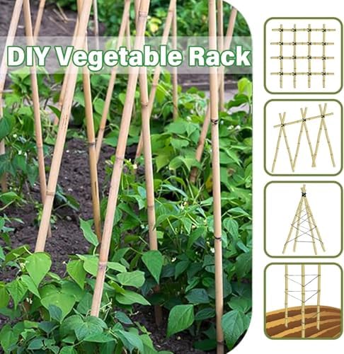 Natural Bamboo Plant Stake（3FT 50Pcs） Sturdy Bamboo Poles, Durable Plant Bamboo Stake, Garden Climbing Plant Bracket. - Image 3