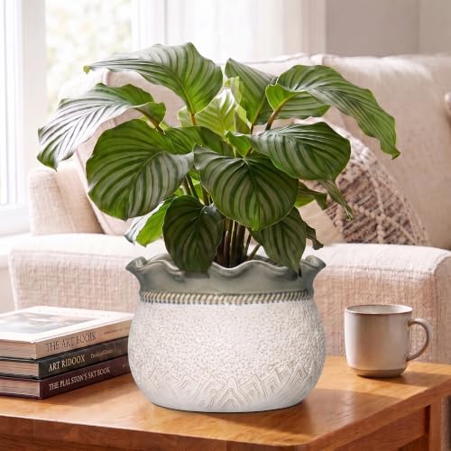 Ceramic Planter, 10 Inch Ceramic Pots for Plants, Beige-Grey - Image 4