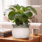 Ceramic Planter, 10 Inch Ceramic Pots for Plants, Beige-Grey - Image 4