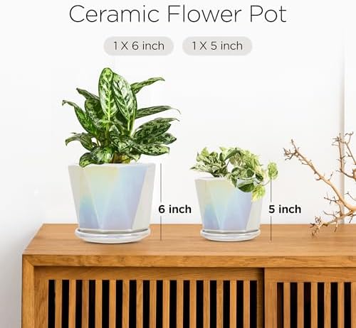 Coco Andrea Ceramic Pots for Plants, 5-Inch Iridescent White, 2-Piece Large - Image 3