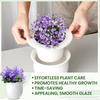 Suclain 2 Pack Ceramic Self Watering Plant Pot African Violet Pots Self Watering Indoor Flower Pot Efficiently Store Water for at Least One Week Modern Decor Gift(White,6.5 Inch) - Image 5