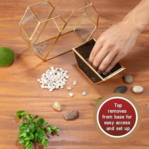 D'Eco Glass Gold Heart Plant Terrarium, Centerpiece & Wedding Letterbox - Image 7