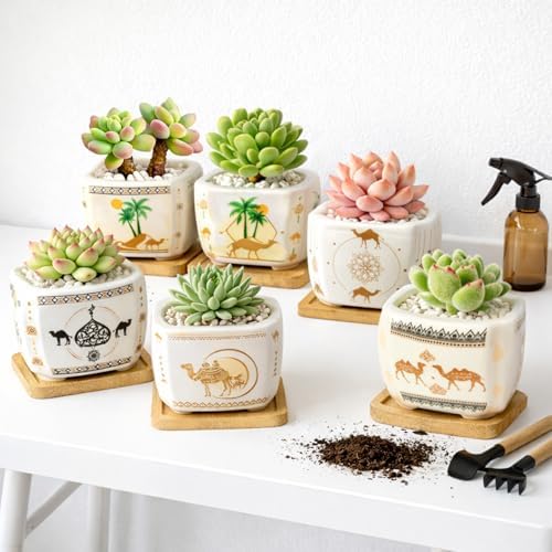Succulent Pots with Drainage, 3.2" Small Plant Pots with Bamboo Trays, Ceramic Pots for Indoor Plants, Cactus Pots, Mini Succulent Planters for Home Garden Decor, Set of 6 - Image 5
