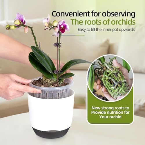 5.7Inch White Orchid Pots with Holes for Repotting, Double-Layer Plastic Self Watering Flower Pots for Indoor Plants with Drainage Holes, Clear Orchid Pot Match Decorative Orchid Container, 3 Packs - Image 3