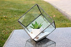 WGV Geometric Planter Terrarium Bulk, Width 8" Height 8.5" Clear Glass Black Frame DIY Succulent air Plant Miniature Fairy Garden Windowsill Tabletop Decor, Tilted Cube 12 Pieces - Image 3