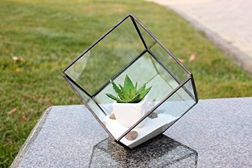WGV Geometric Planter Terrarium Bulk, Width 8" Height 8.5" Clear Glass Black Frame DIY Succulent air Plant Miniature Fairy Garden Windowsill Tabletop Decor, Tilted Cube 12 Pieces - Image 3