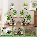 BACEKOLL Plant Stand Indoor with Grow Lights - 2 Pack Plant Shelf, Lighted Corner Plant Stands for Indoor Growing, 4 Tiered Metal Flower Holder, S-Shaped Decorative Shelves for Home, Hallway, Black - Image 5