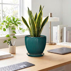 Ceramic Planter, 8 Inch Plant Pots with Saucer, Blackish Green - Image 3