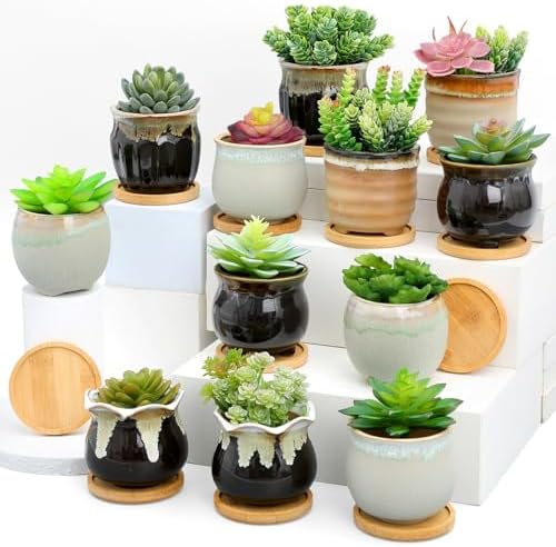 Remerry 12 Pcs Ceramic Succulent Pots with Drainage 3.5 Inch Bamboo Tray by Remerry