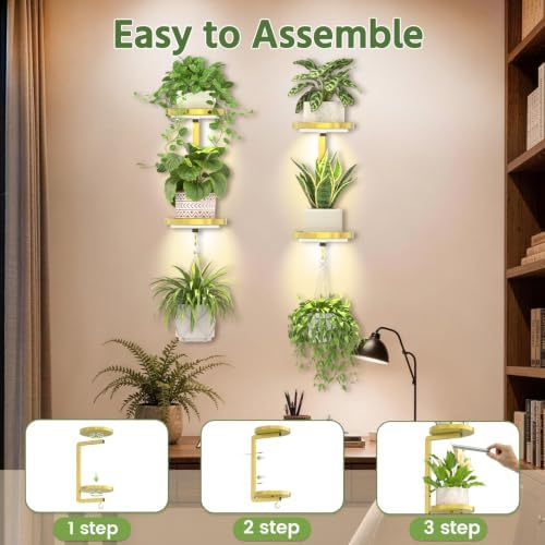 LASZOLA Plant Hanger Holder Shelf Wall Indoor with Lights, 2 Pcs Gold - Image 6