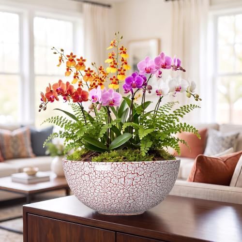 Succulent Pots 12 Inch, Ceramic Bonsai Planter, Texture Red - Image 3
