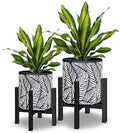 10 & 12 Inches Flower Plant Pot with Stand Set of 2 with Drainage Holes by Opnons