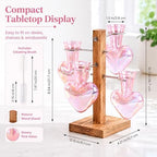 Nacome Plant Terrarium Propagation Stations: Pink Vase with Wooden Stand - Image 4