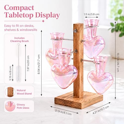Nacome Plant Terrarium Propagation Stations: Pink Vase with Wooden Stand - Image 4
