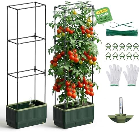 2Pack Raised Garden Bed Tomato Planter with Trellis, 52" Self Watering Tomato Planter with Water Level Indicator, Larger Rectangular Tomato Cages for Indoor & Outdoor Climbing Vegetable and Plants (2) by MQUPIN