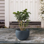 Kante Small Round Bowl Charcoal Concrete Planter 11.8" Dia, Outdoor - Image 5