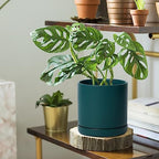 D'vine Dev 2-Pack Ceramic Pots with Saucers, Teal, 6 in, 94-V-C-9 - Image 6