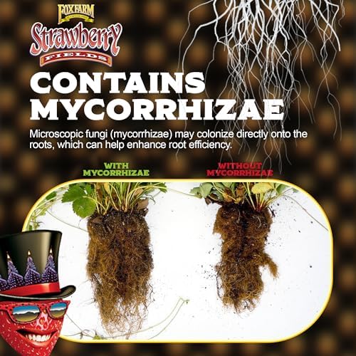 FoxFarm Strawberry Fields Fruiting & Flowering Potting Soil, 1.5 Cu.ft (Pack of 2) - Designed to Pump Up Your Blooms, Fruits, and Berries - Made for the Fruiting and Flowering Stages of Plants - Image 2